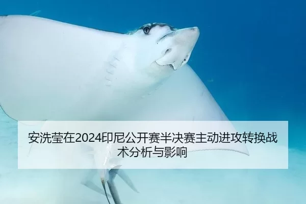 安洗莹在2024印尼公开赛半决赛主动进攻转换战术分析与影响